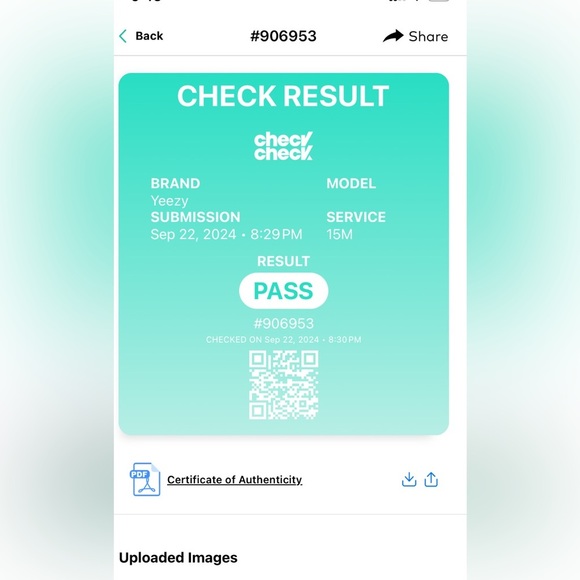 Yeezy 500 Blush - Picture 17 of 17